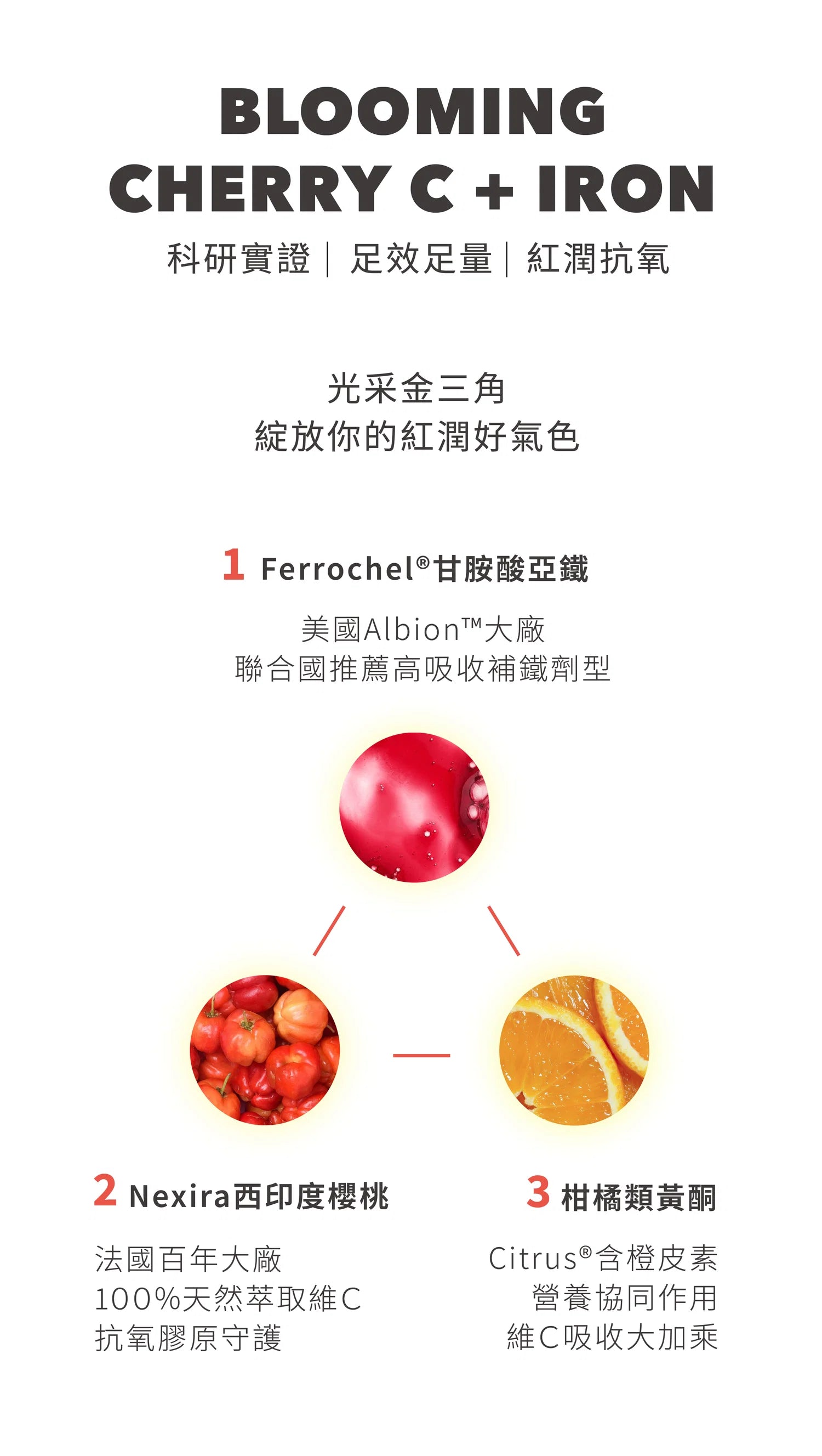 【10月現貨】KARE Blooming Cherry C+Iron 日日好氣色