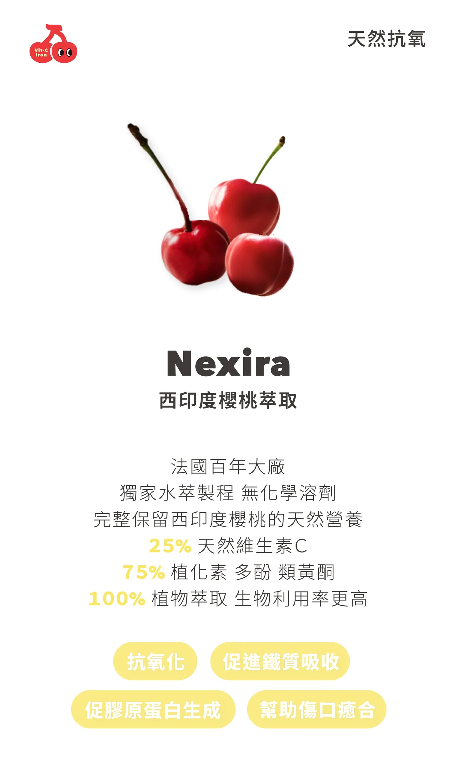 【10月現貨】KARE Blooming Cherry C+Iron 日日好氣色